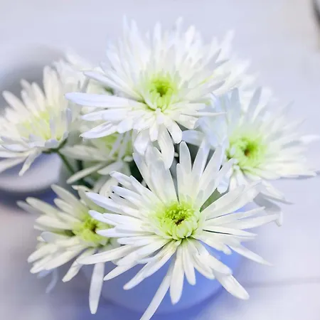 Villa Granitz, Ostseebad Sellin, Insel Ruegen, Ostseebrise * Sellin (Rugen)