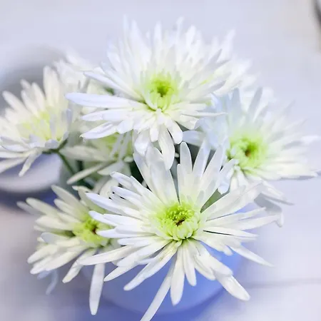 Villa Granitz, Ostseebad Sellin, Insel Ruegen, Ostseebrise * ゼリン