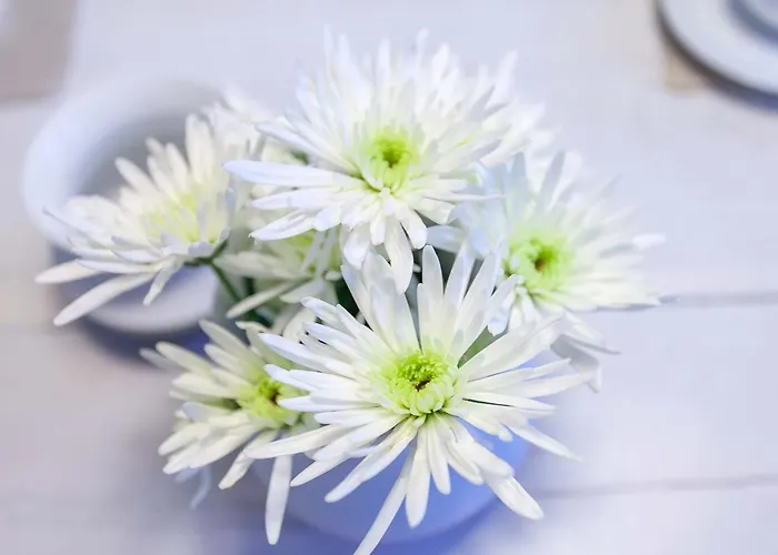 Villa Granitz Meerglueck * Sellin (Rugen)